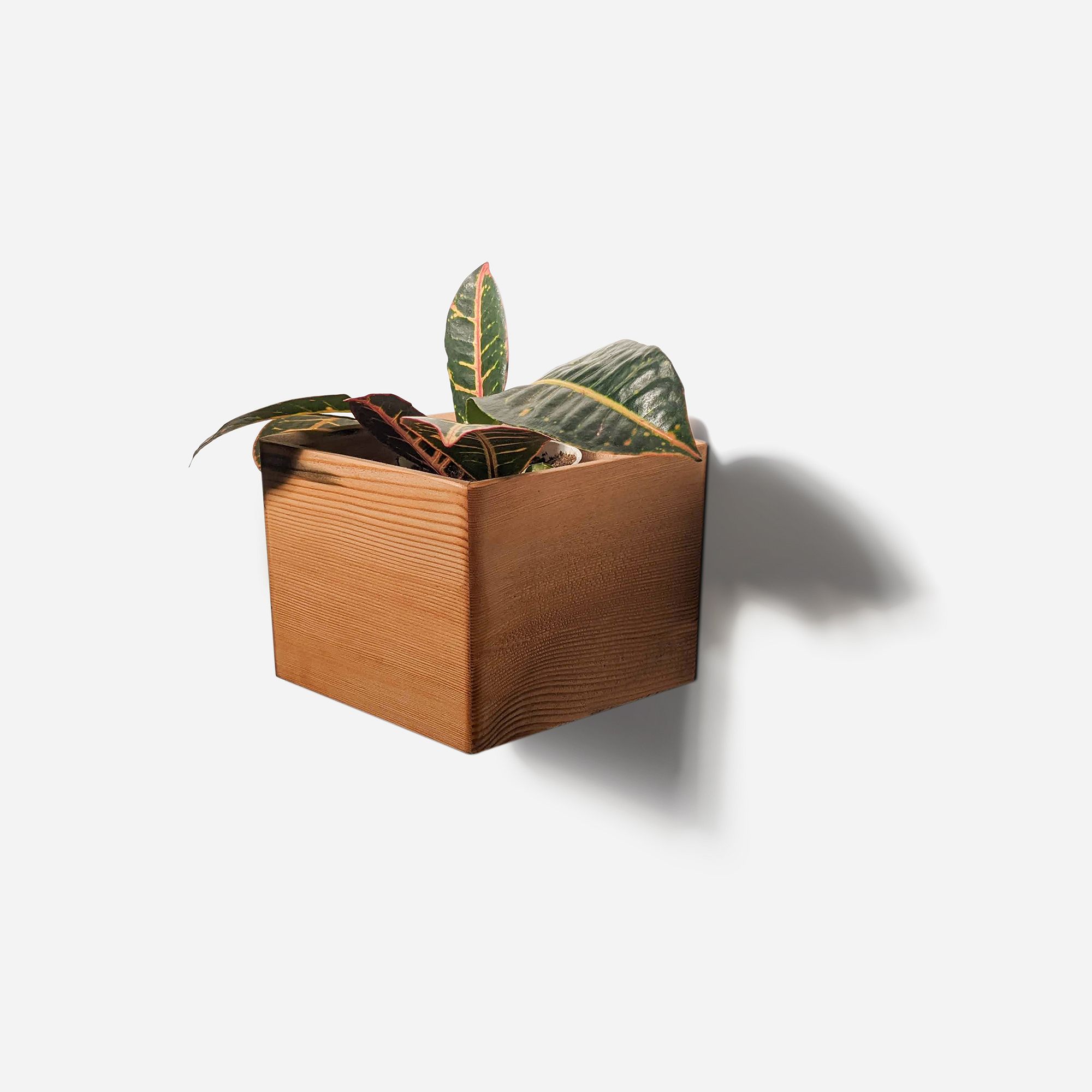 Formr Diamond Self-Watering Planter | West Elm