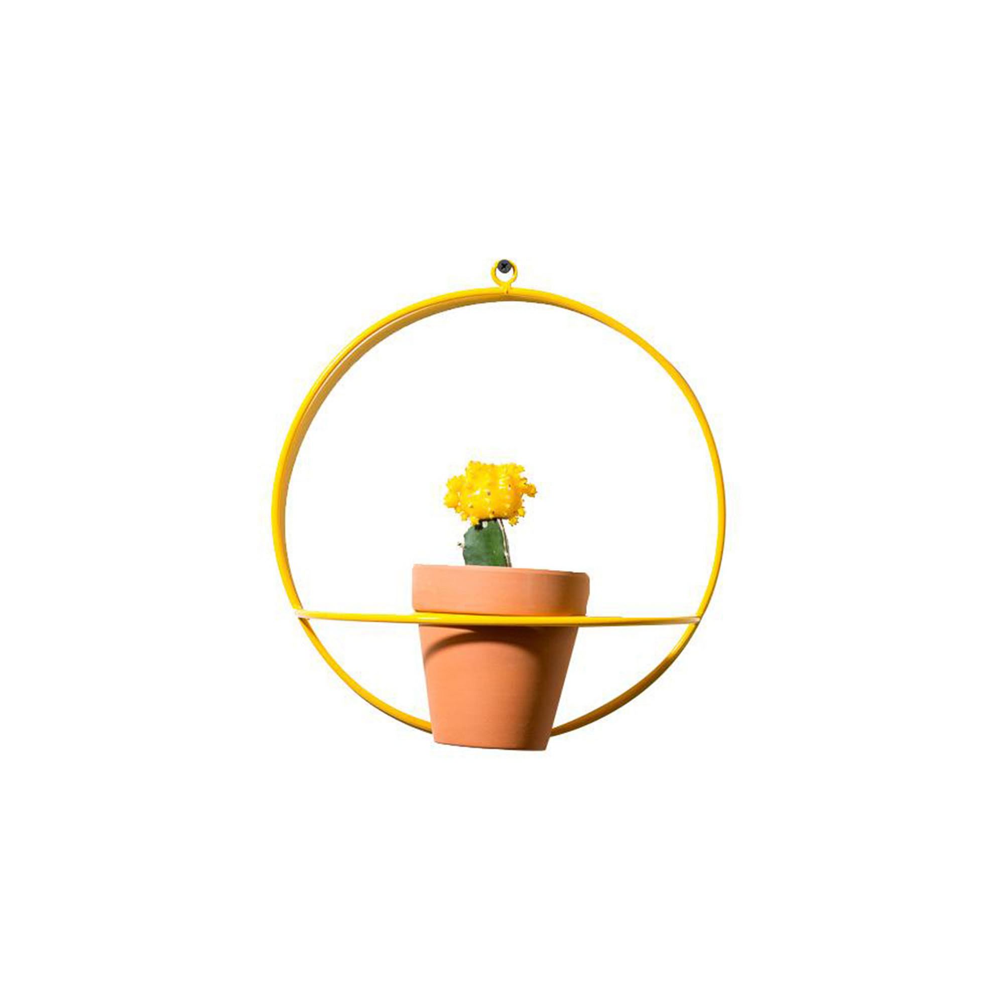 NewMade LA Circle Wall Planter | West Elm