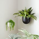 Ceramic Indoor/Outdoor Wallscape Planters