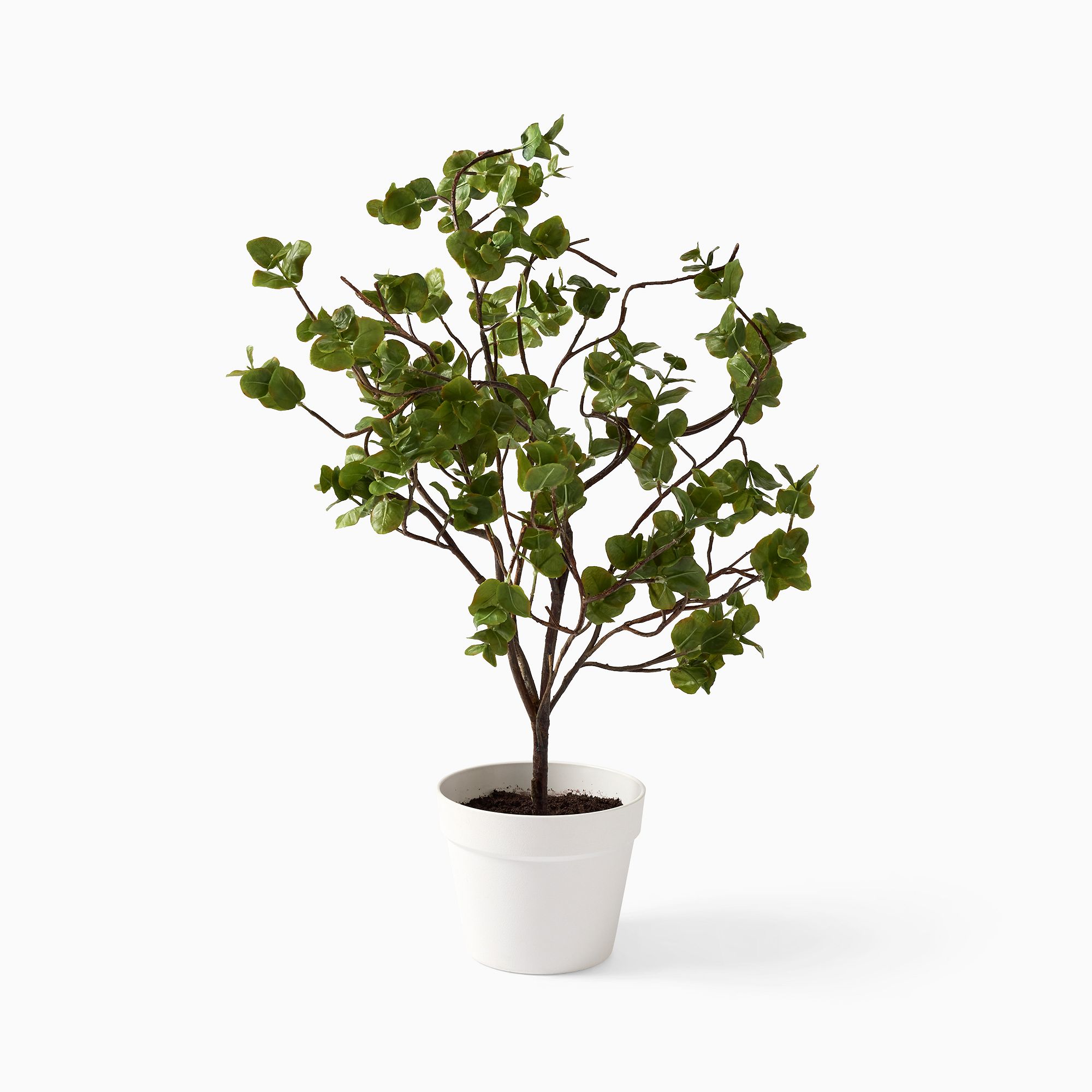 Faux Potted Wire Netting Bush Plant | West Elm