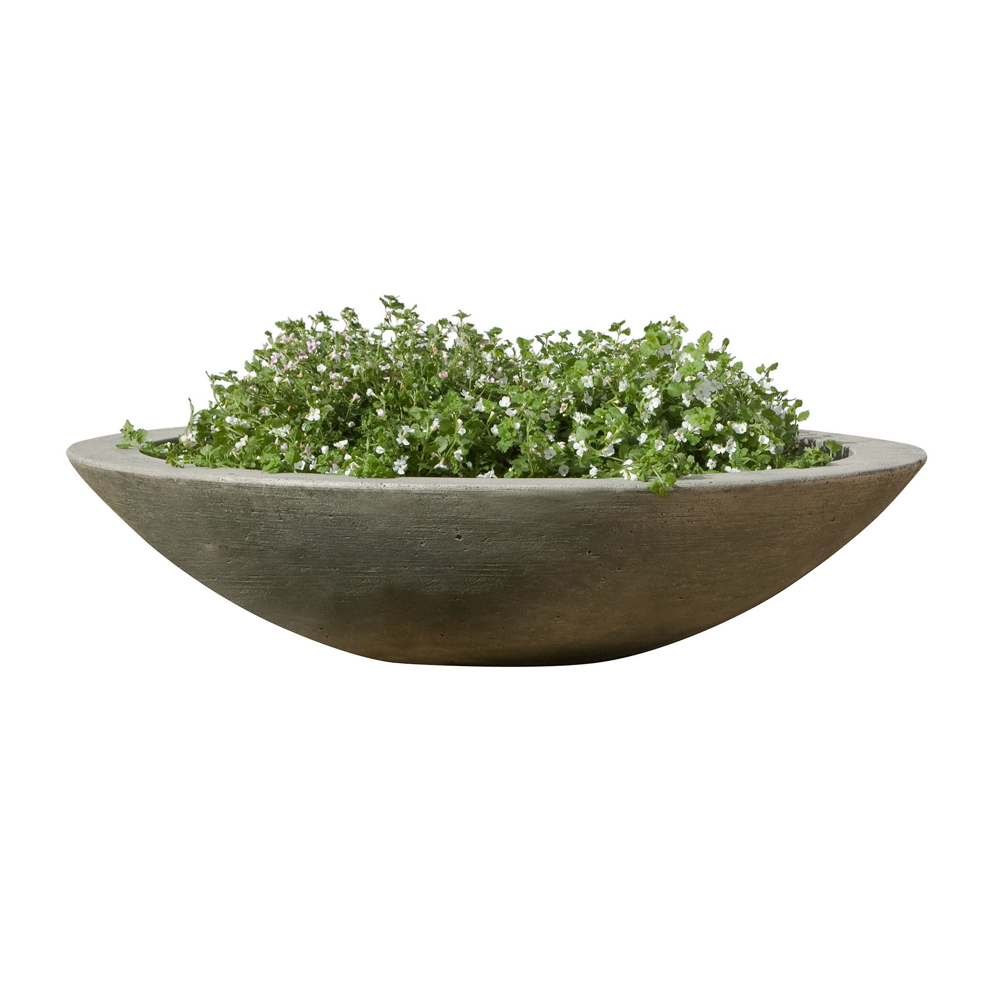 Zen Cast Stone Indoor/Outdoor Bowl Planter | West Elm