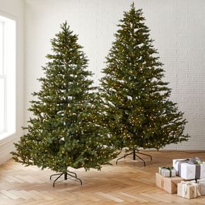 Rockford Pine Christmas Tree | West Elm