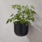 Ceramic Indoor/Outdoor Wallscape Planters