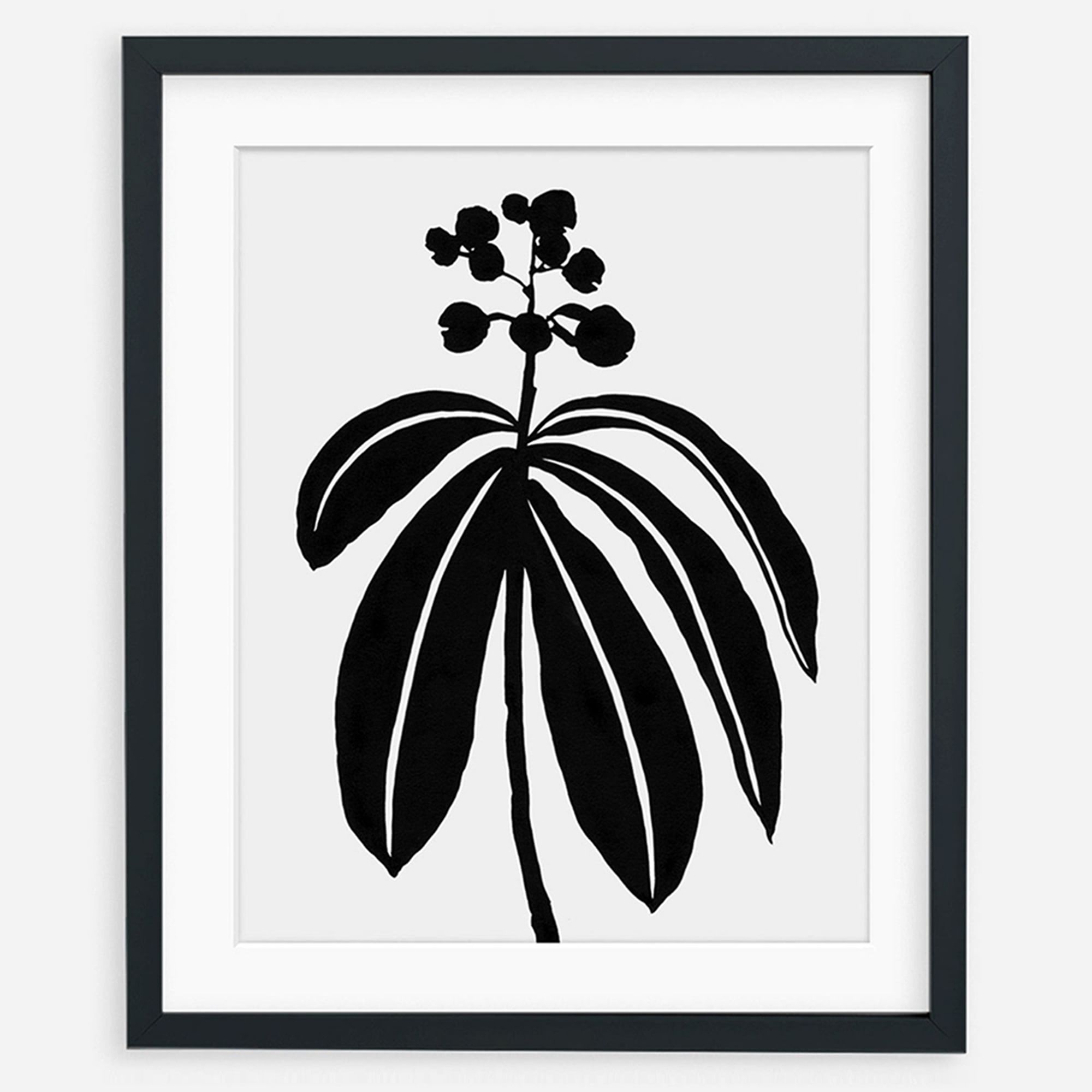 Living Pattern Framed Print - Dichorisandra Thyrsiflora | West Elm