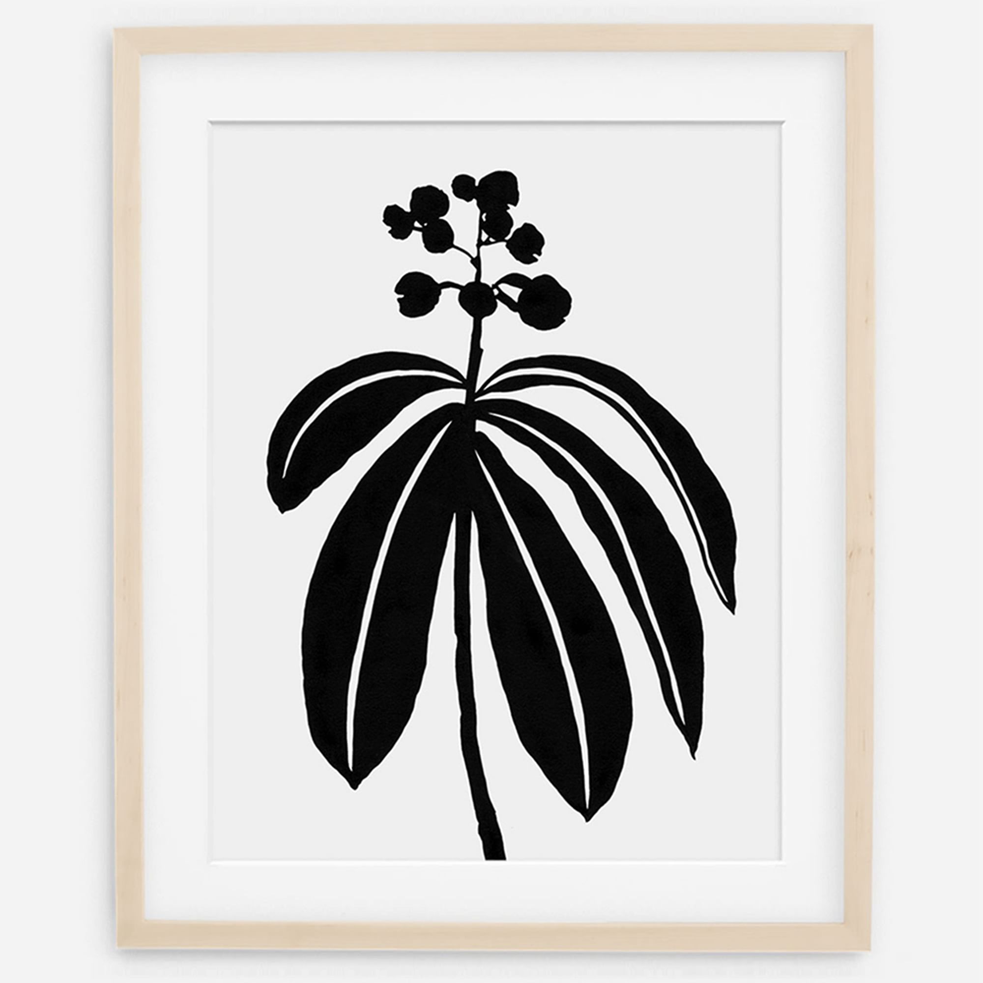 Living Pattern Framed Print - Dichorisandra Thyrsiflora | West Elm