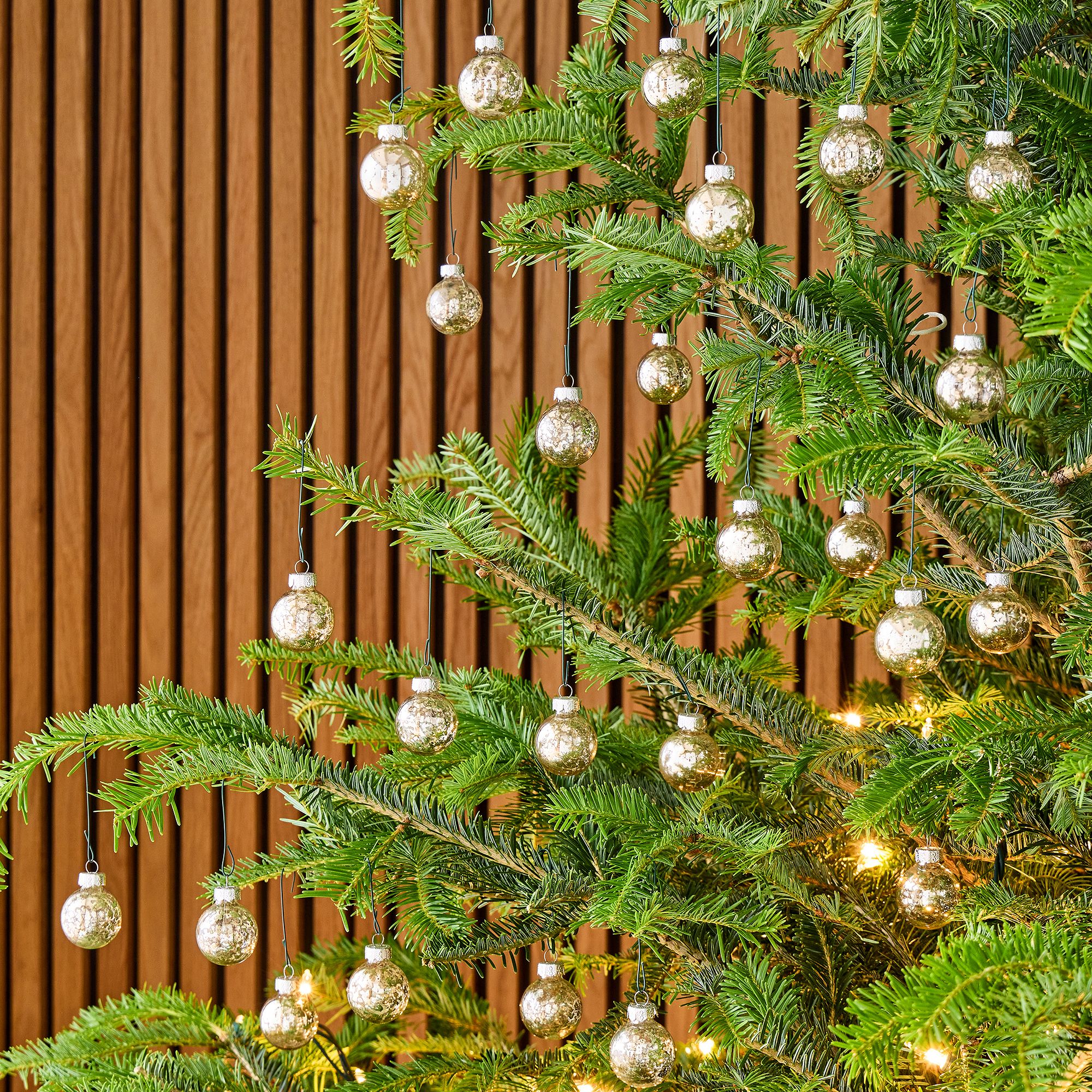 Mercury Boxed Ornaments (Set of 25) | West Elm