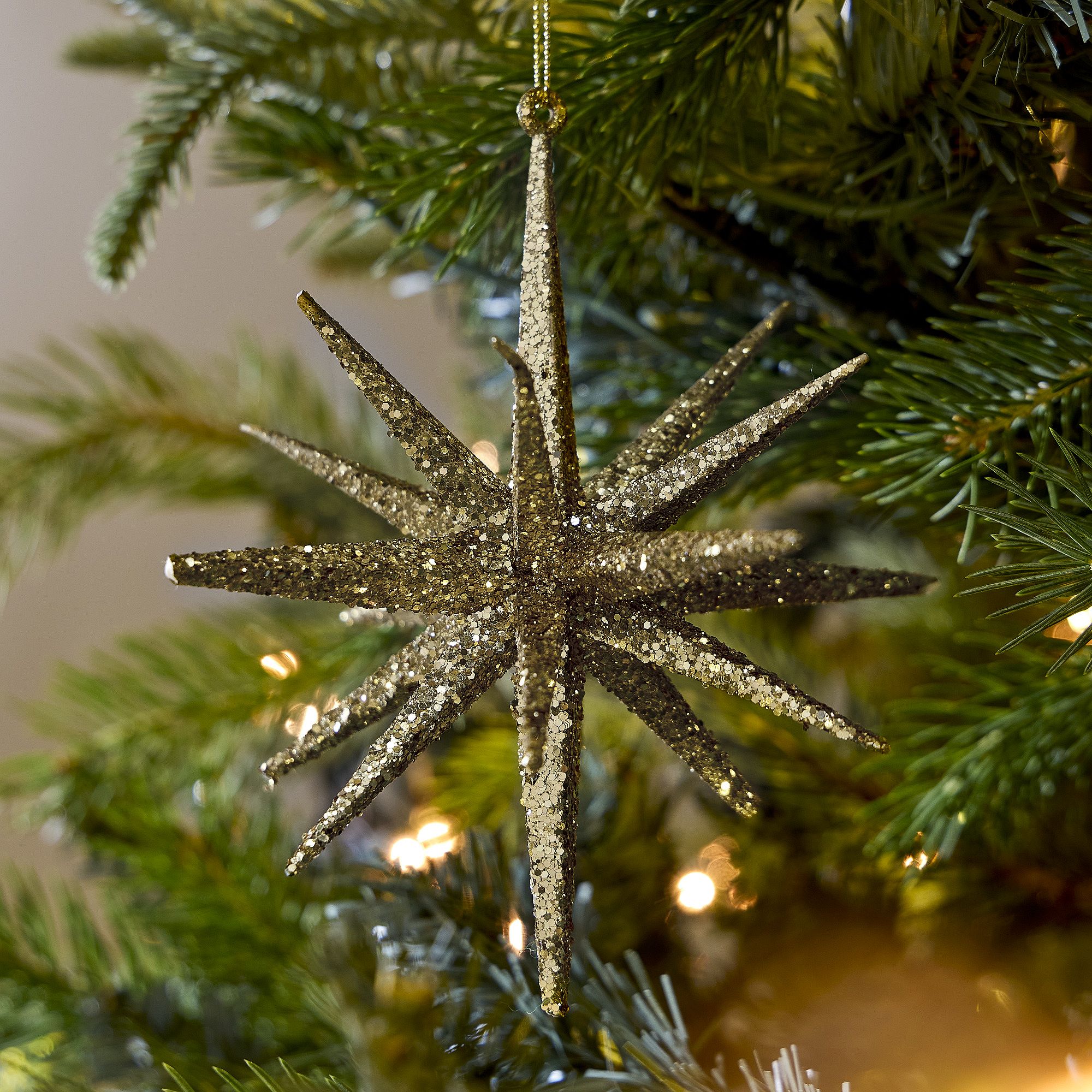 Celestial Burst Ornament | West Elm