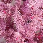 Pre-Lit Faux Pink Tinsel Christmas Tree