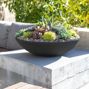 Veradek Lane Indoor/Outdoor Bowl Planter | West Elm