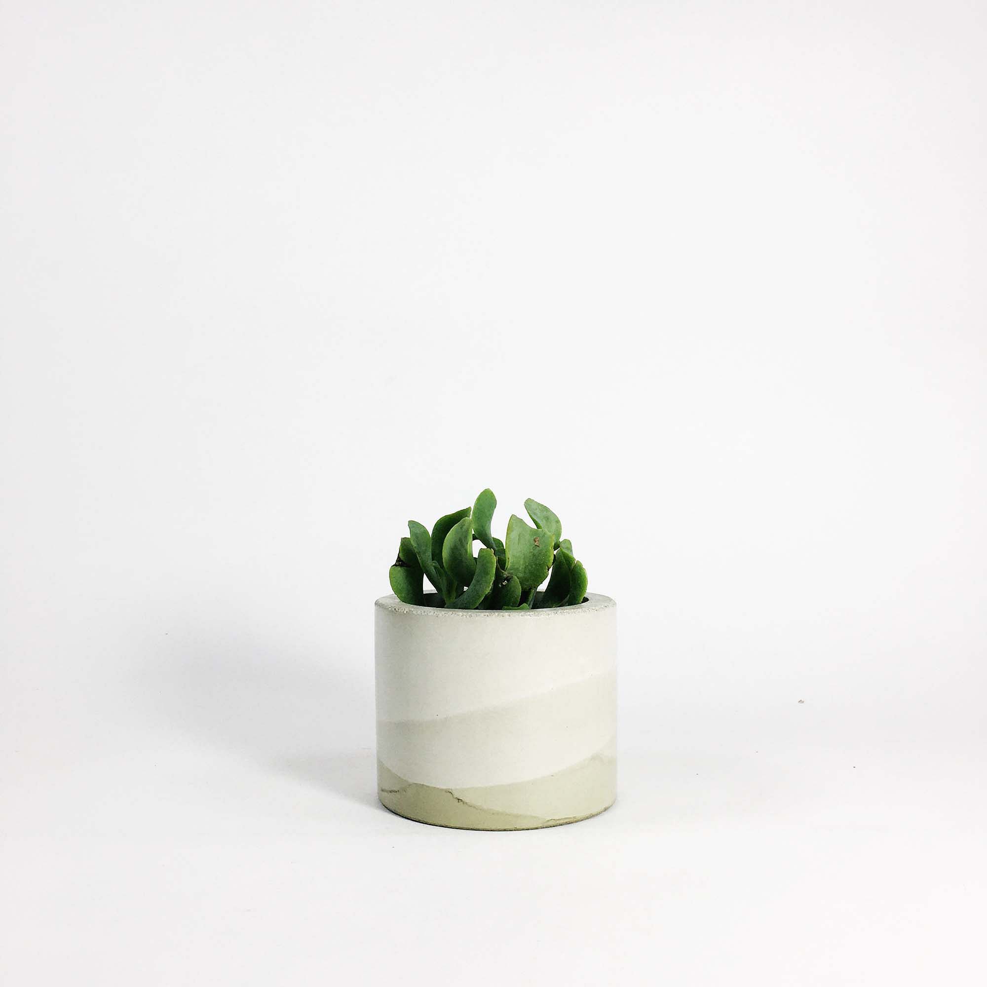 SETTLEWELL Short Concrete Vase | West Elm