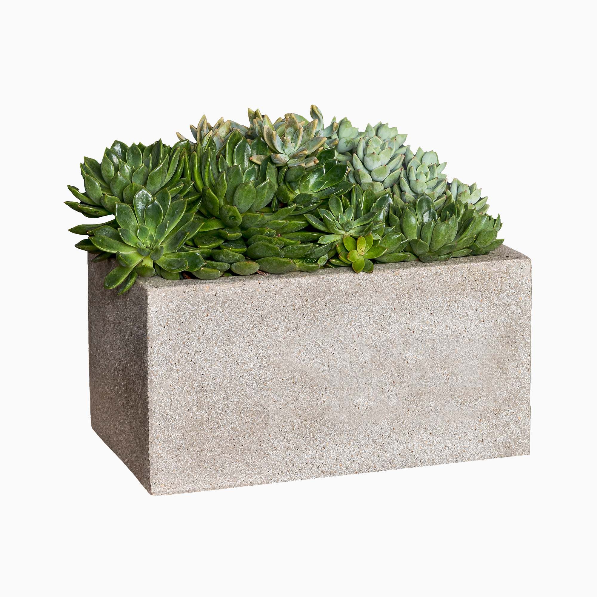 Playa Outdoor Planters | West Elm