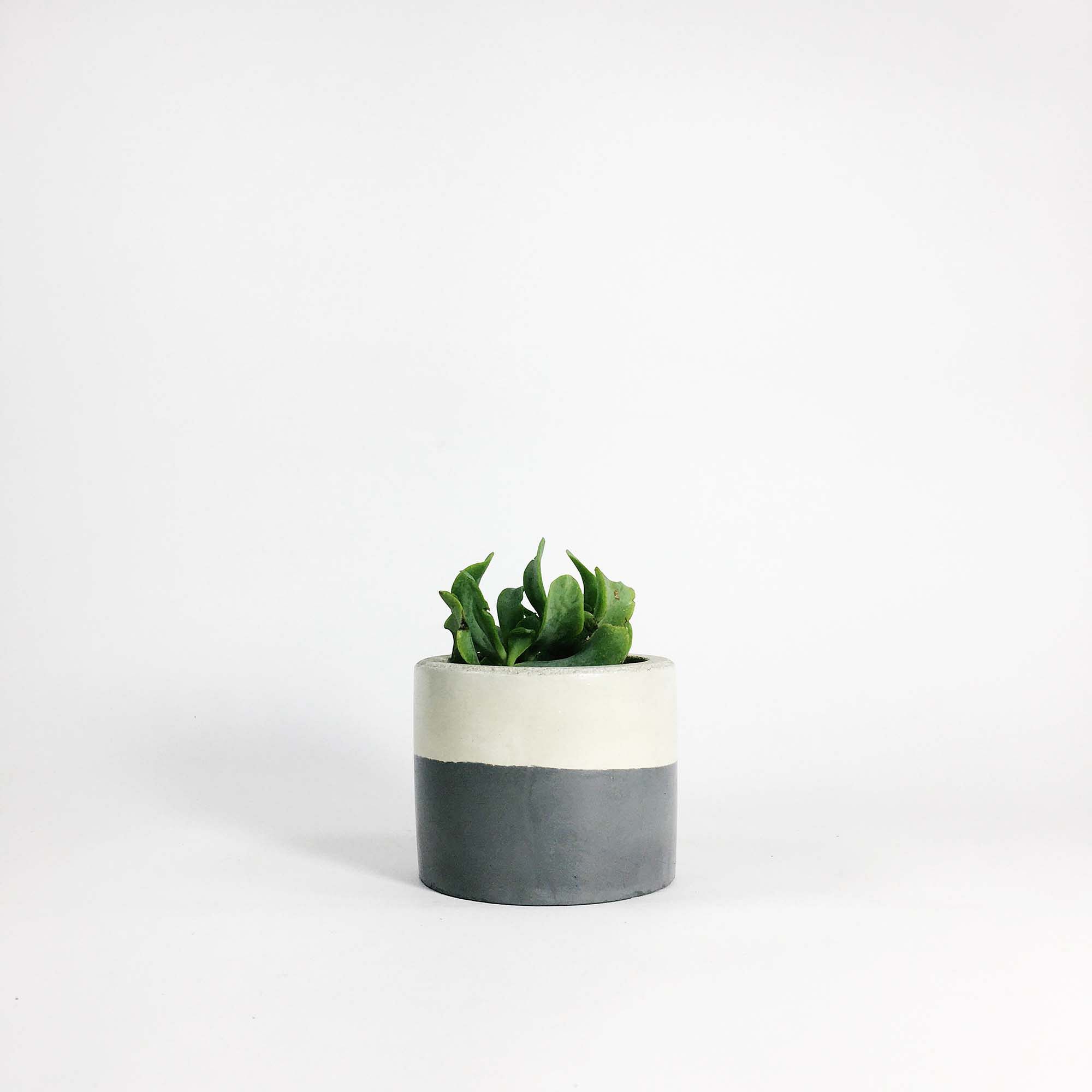 SETTLEWELL Short Concrete Vase | West Elm