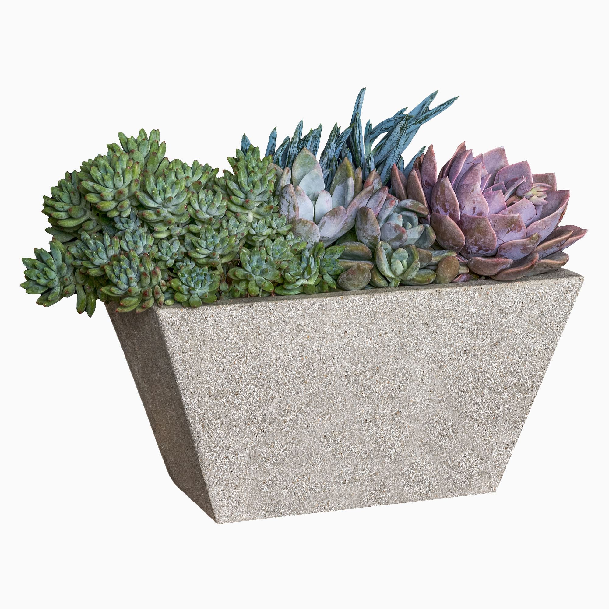 Playa Outdoor Planters | West Elm