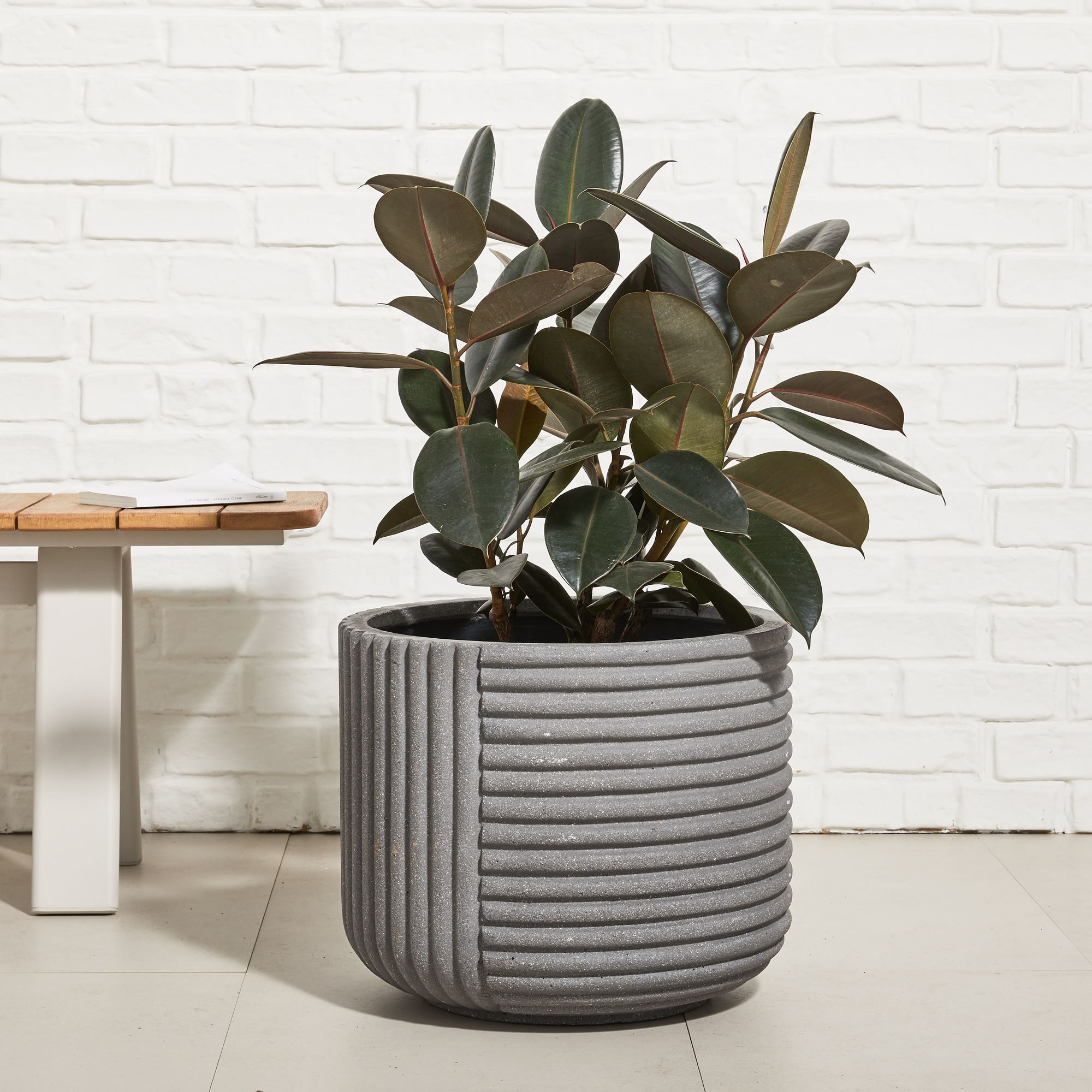 Cecilia Ficonstone Indoor/Outdoor Planters | West Elm