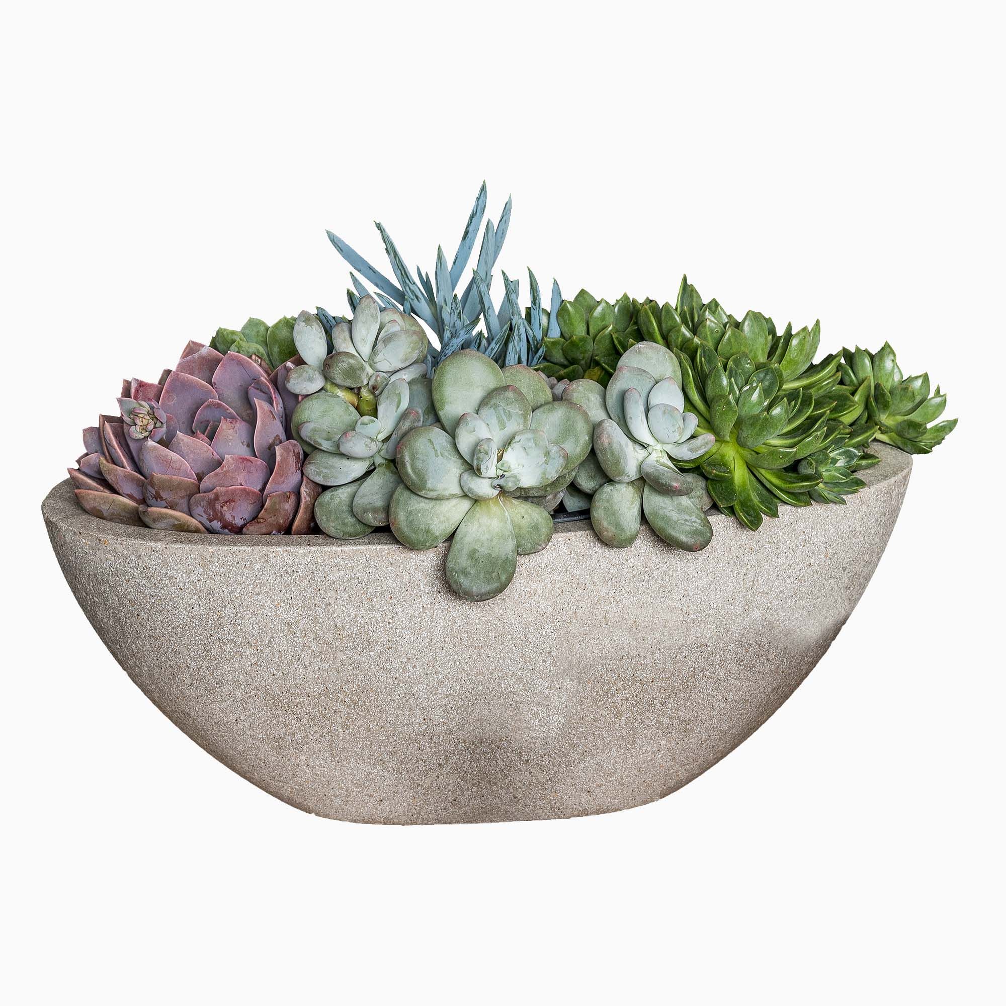 Playa Outdoor Planters | West Elm