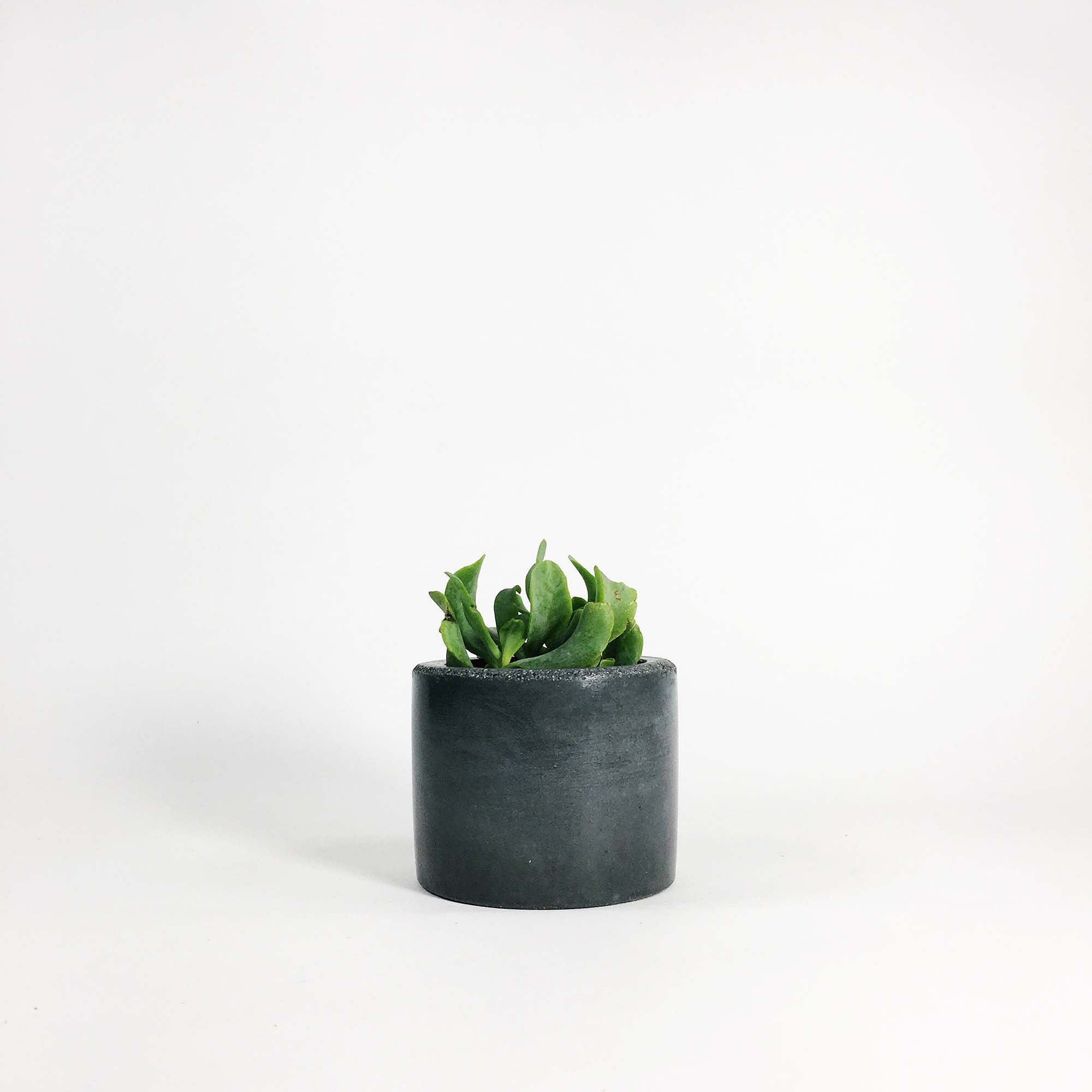 SETTLEWELL Short Concrete Vase | West Elm