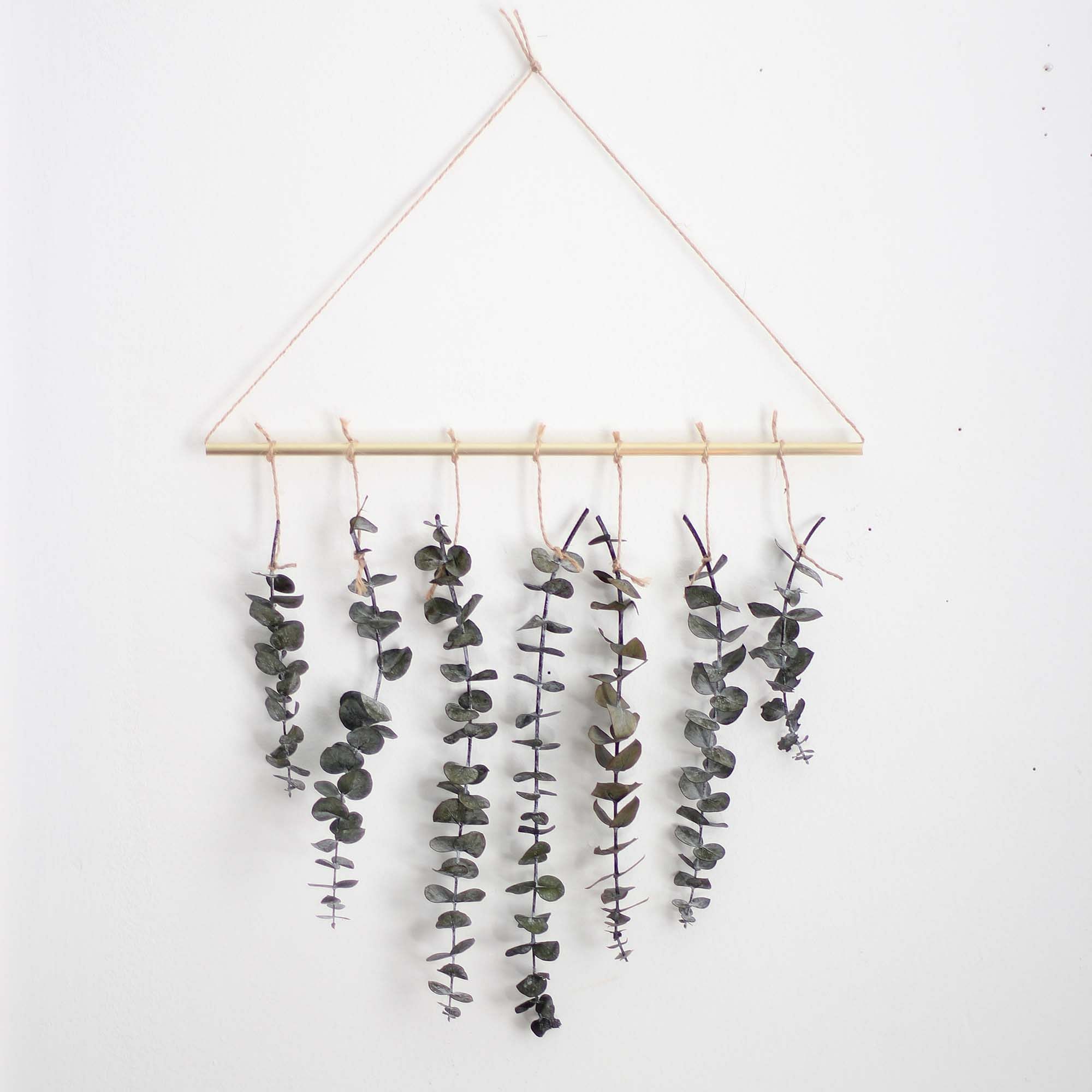 Pauline Stanley Studio Eucalyptus Wall Hanging Kit | West Elm