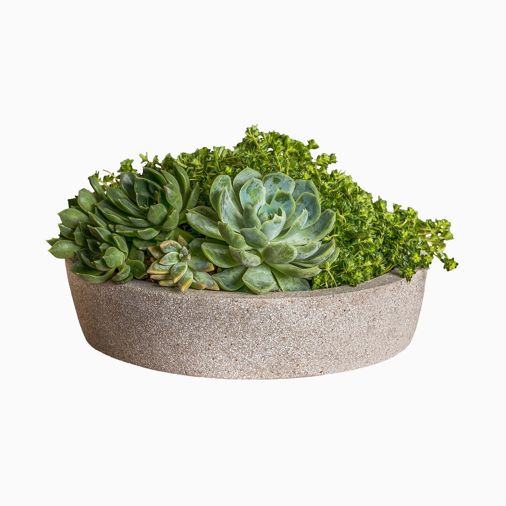 Playa Outdoor Planters | West Elm