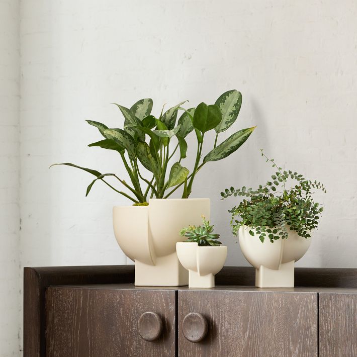 Georgie Ceramic Tabletop Planters