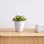 Faux Potted Echeveria Succulent Plant