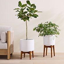 Indoor Planters