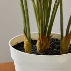 Faux Potted Caladium Plant