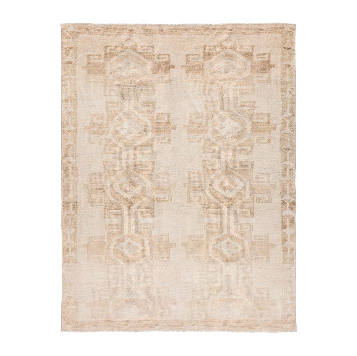 Dani Washable Rug West Elm