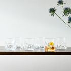 Cassiopea Drinking Glasses