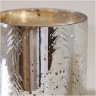 Canyon Etched Filled Candles - Amber Nutmeg