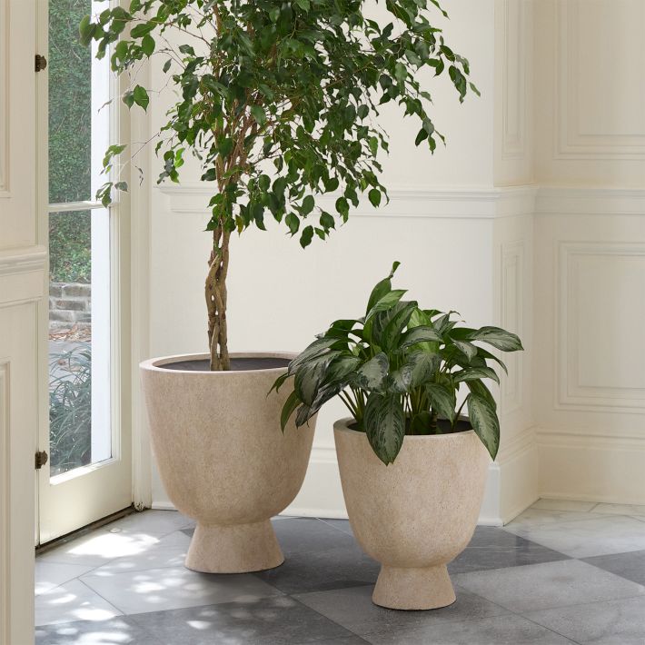 Colin King Ficonstone Indoor/Outdoor Pedestal Planters West Elm