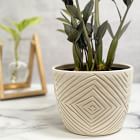 SampleHAUS Zulu Cachepot Planters