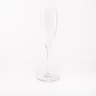 Bormioli Rocco Premiere Star Wine Glasses (Set of 6)