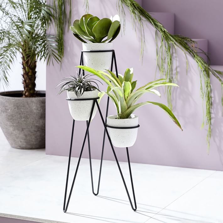 Iris Indoor/Outdoor Triple Planter &amp; Chevron Stand