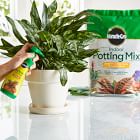 Miracle-Gro Indoor Potting Mix &amp; Plant Food