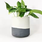 SETTLEWELL Straight-Sided Concrete Pot - Dark Gray