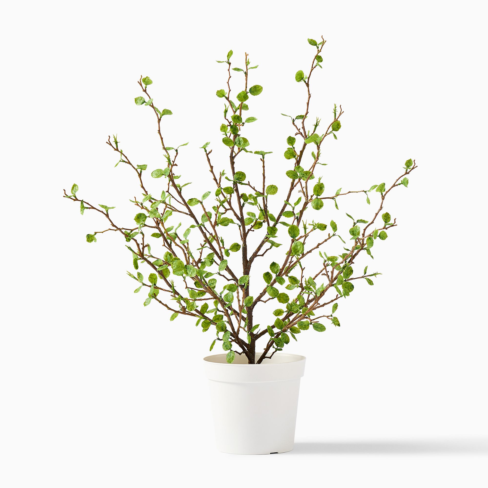 Faux Potted Sparse Fern Plant | West Elm