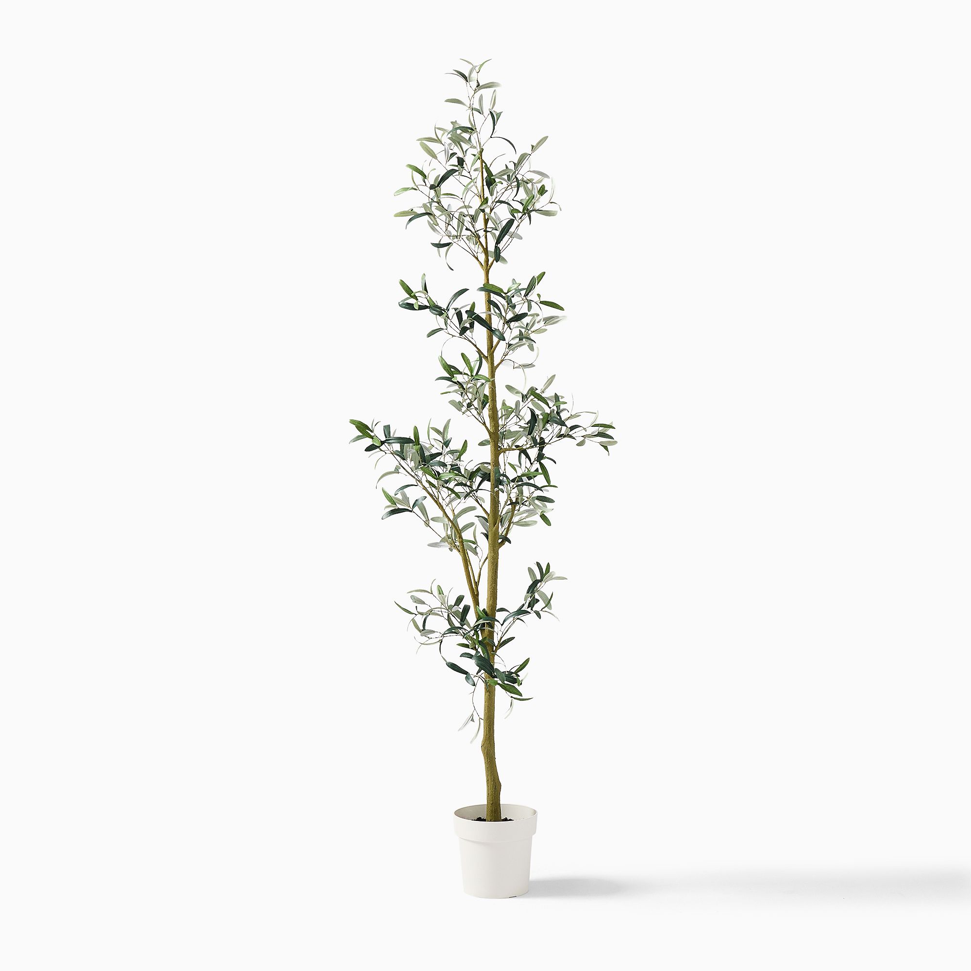 Faux Potted Sparse Olive Tree | West Elm