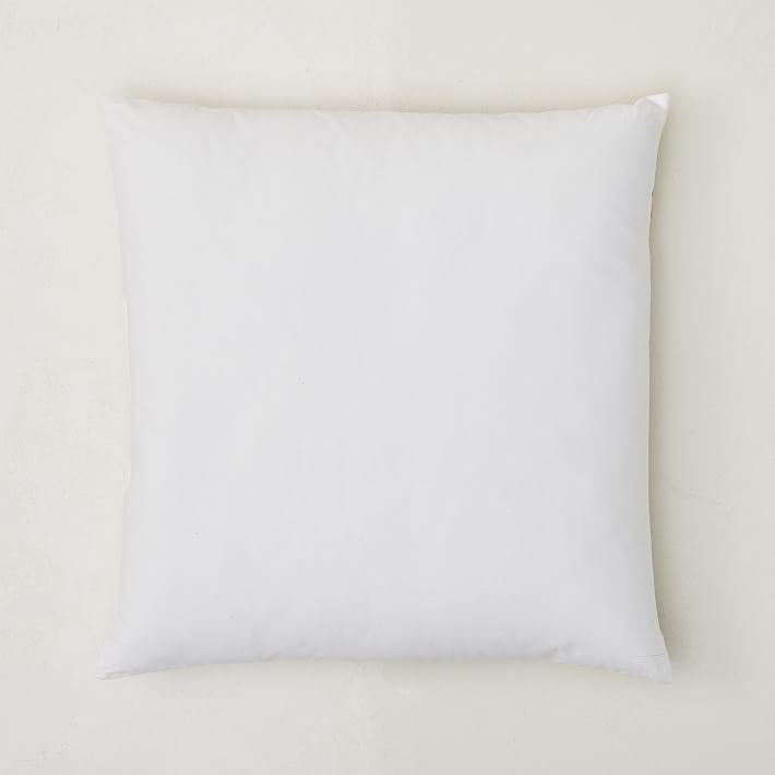 Decorative Pillow Inserts 20x20