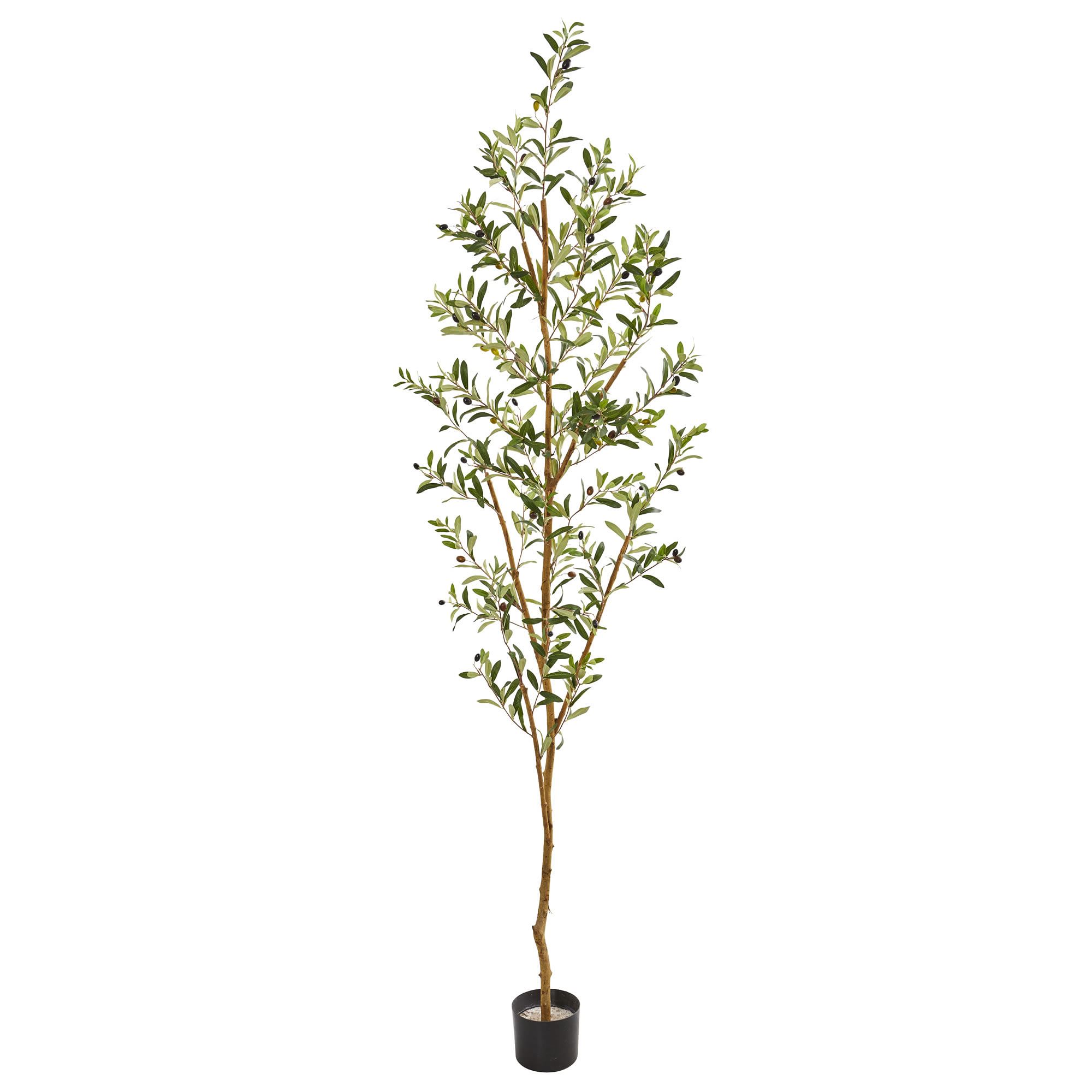 Faux Potted Olive Tree