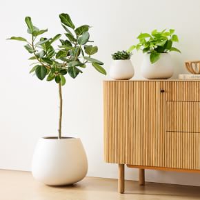 Pure Ceramic Planters - Sleek White Finish