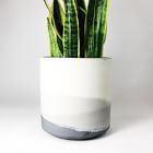 SETTLEWELL Straight-Sided Concrete Pot - Dark Gray