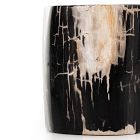 Petrified Wood Side Table (12&quot;)