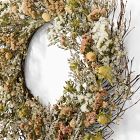 Dried White Twig Wreath