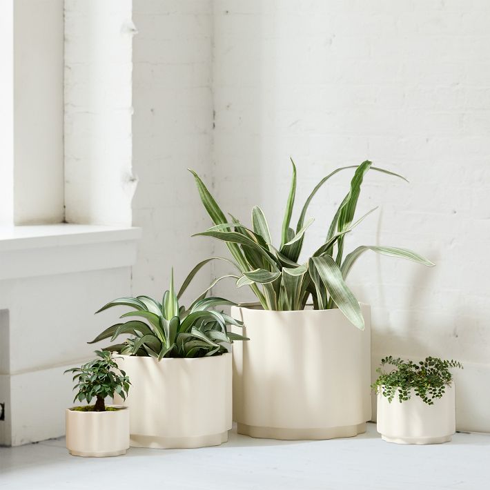 Wavy Ceramic Planter (Medium)