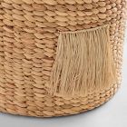 Lion Hamper