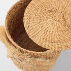 Lion Hamper