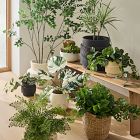 Faux Potted Green Leaf Tree