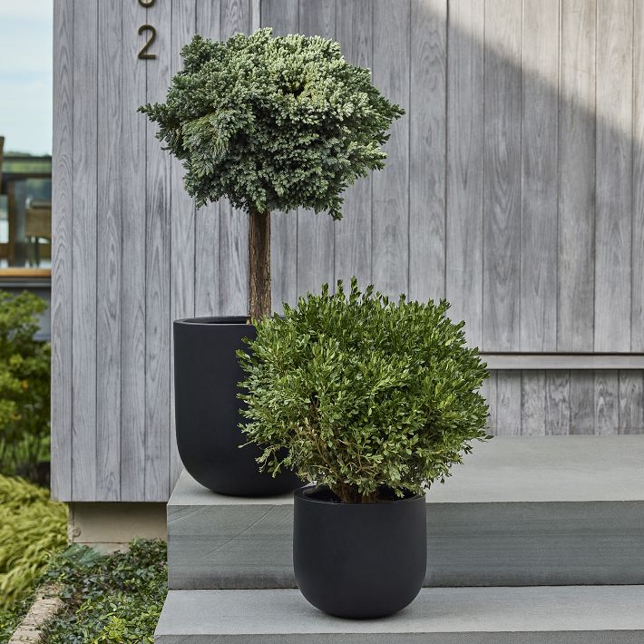Radius Ficonstone Planter - Large - Black