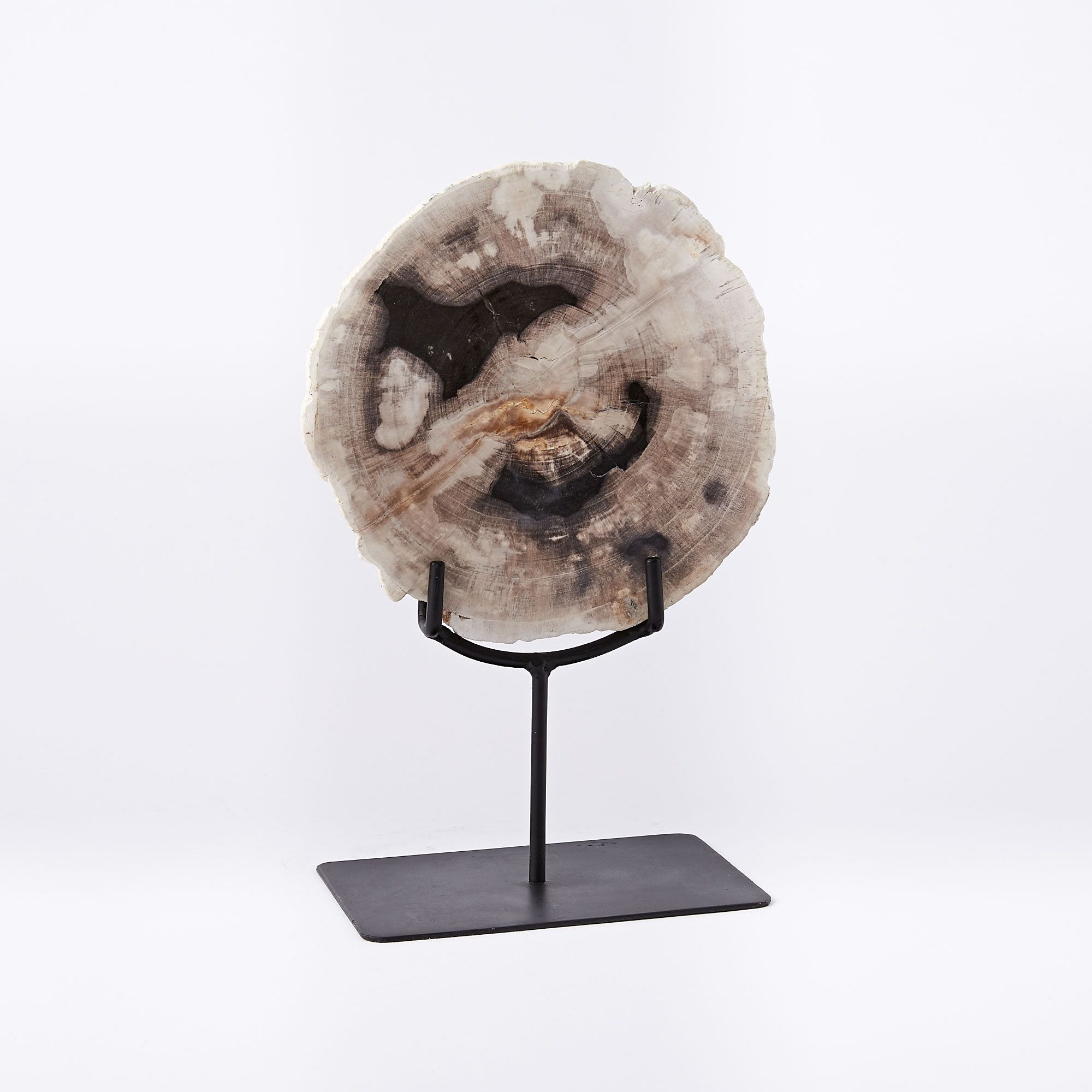 Petrified Wood Object on Stand, Small, Set of 2