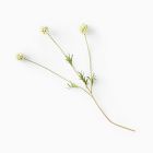 Faux Scabiosa Stem